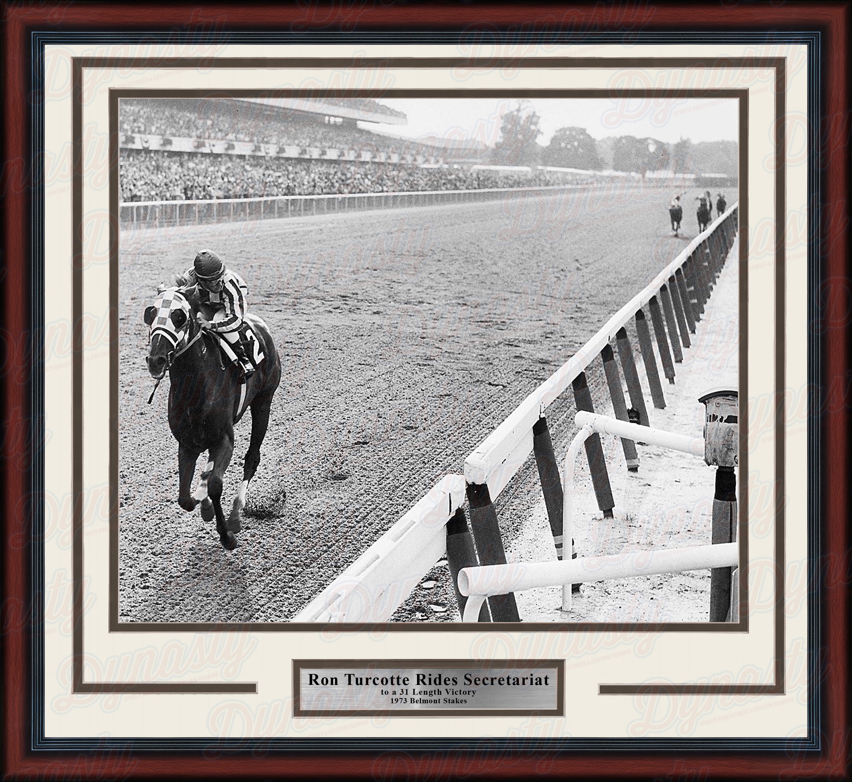 Ron Turcotte Riding Secretariat at the 1973 Belmont Stakes Framed Horse Racing Photo