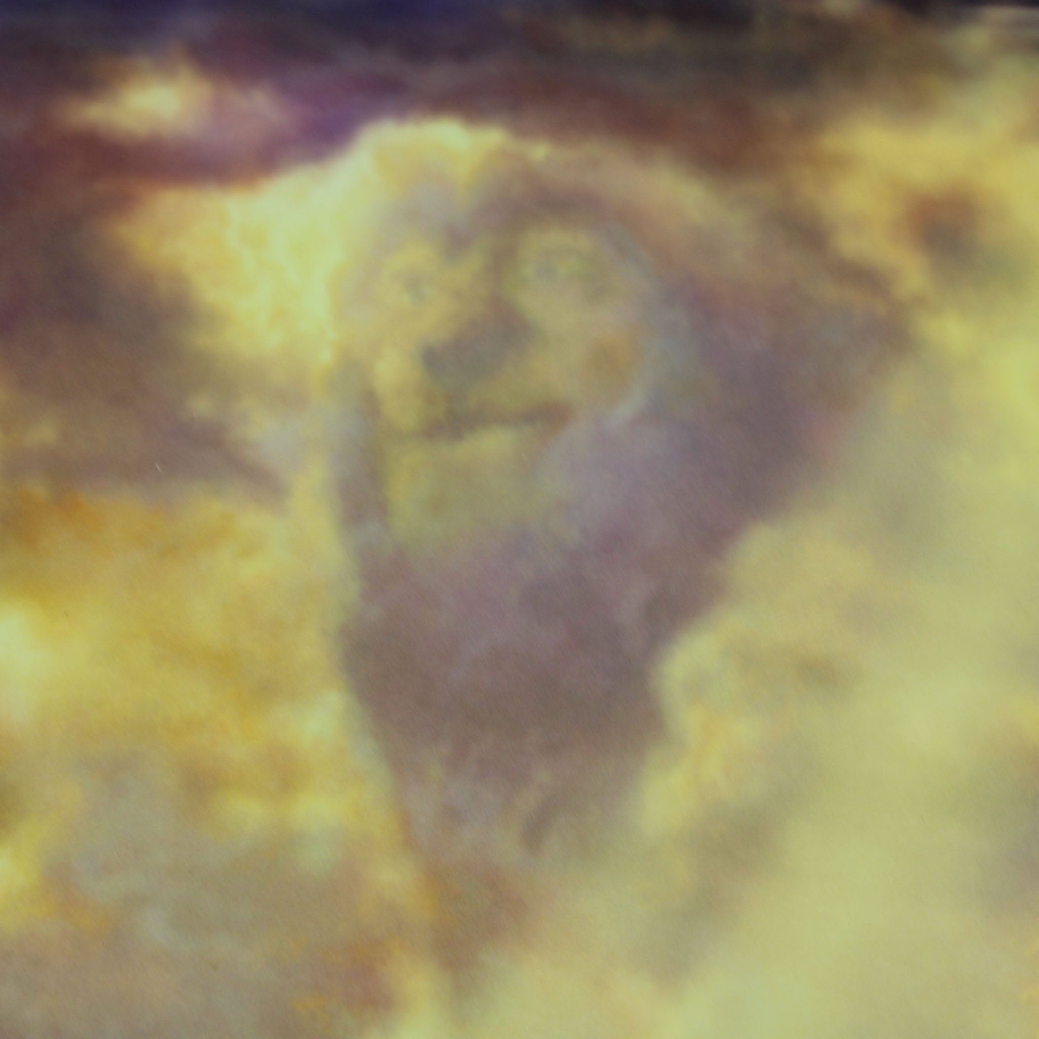 Disney: The Lion King - Thomas Kinkade Framed Art Print
